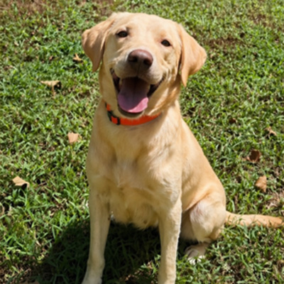 Sadie
